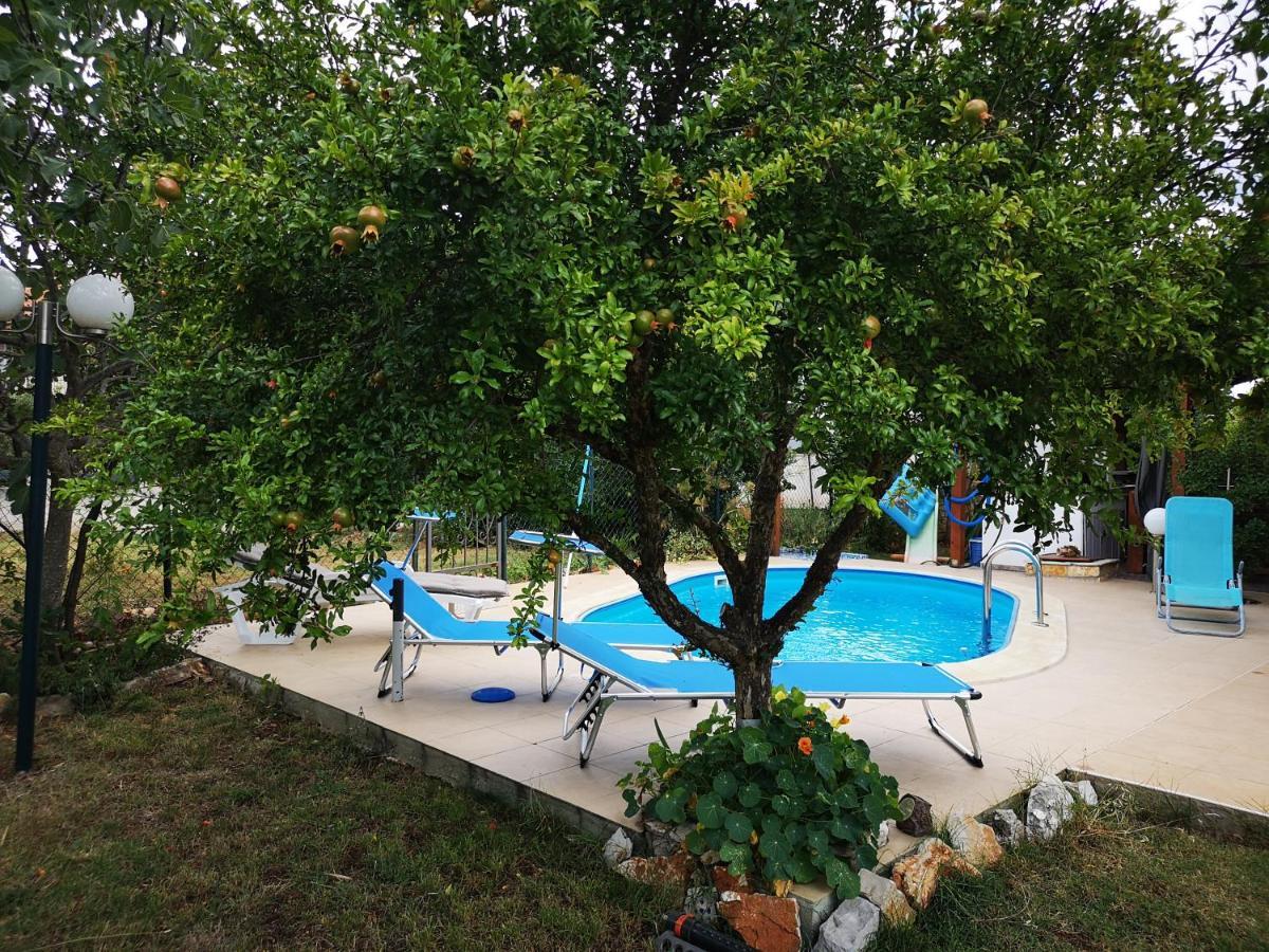 Chillout Apartments With Pool Patricia Fažana Zewnętrze zdjęcie